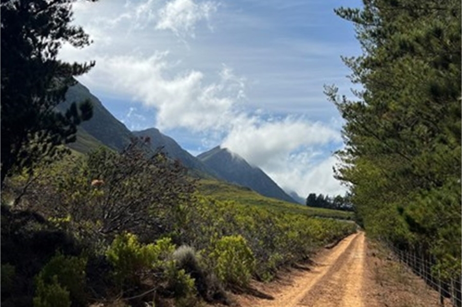 3 Bedroom Property for Sale in Hemel and Aarde Western Cape